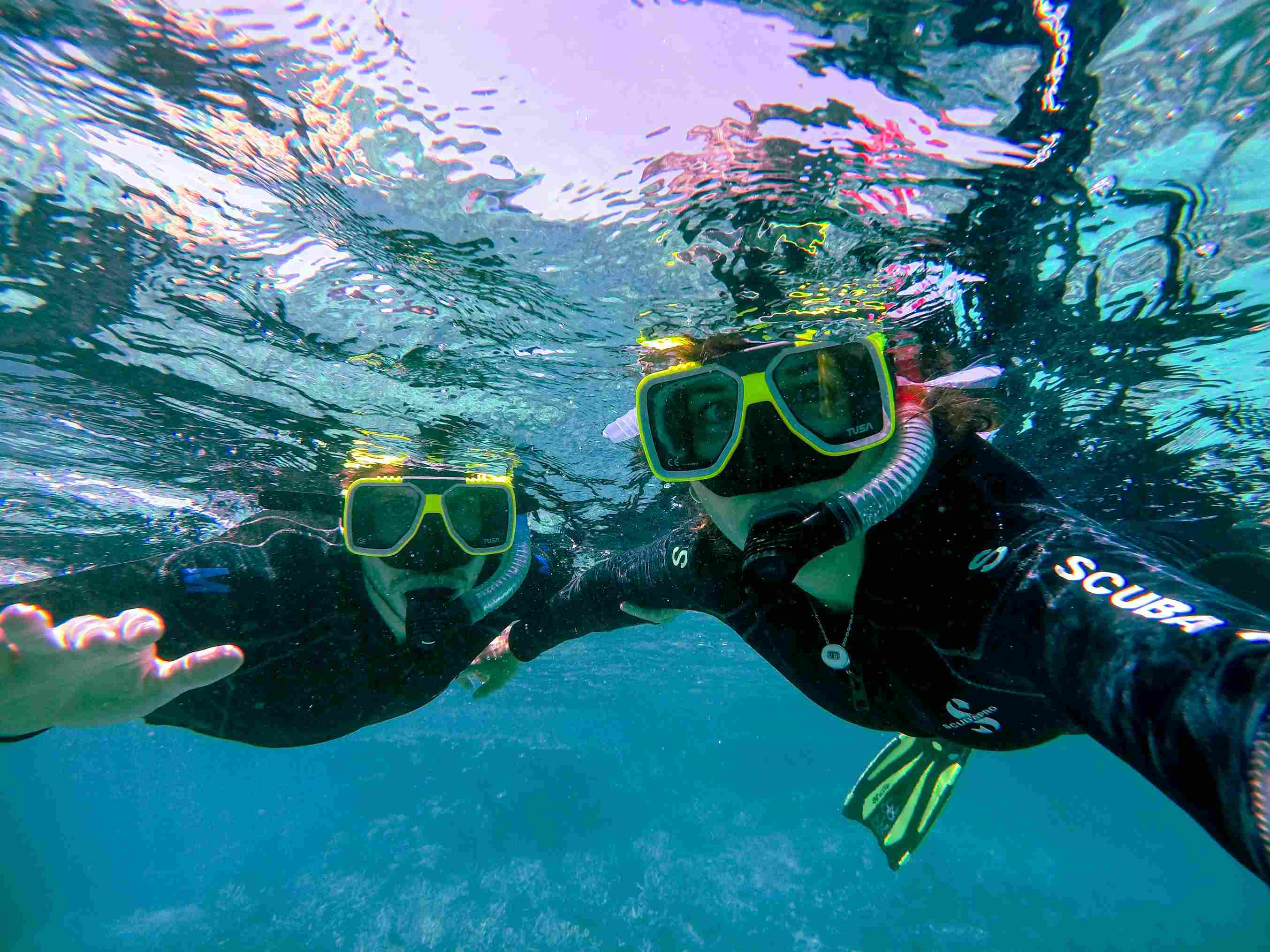 Scuba divers underwater